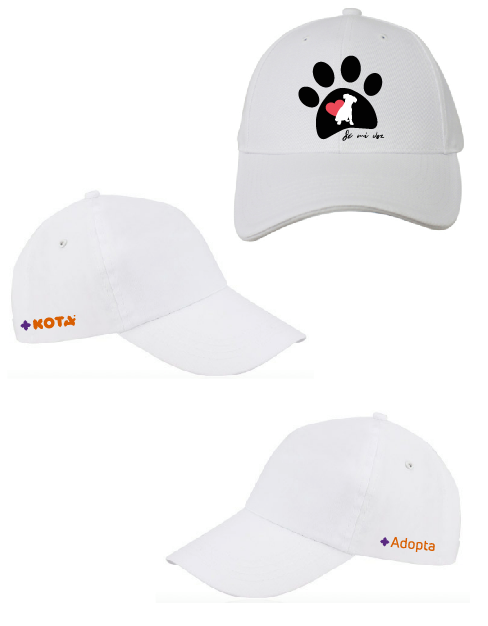 GORRA +KOTA
